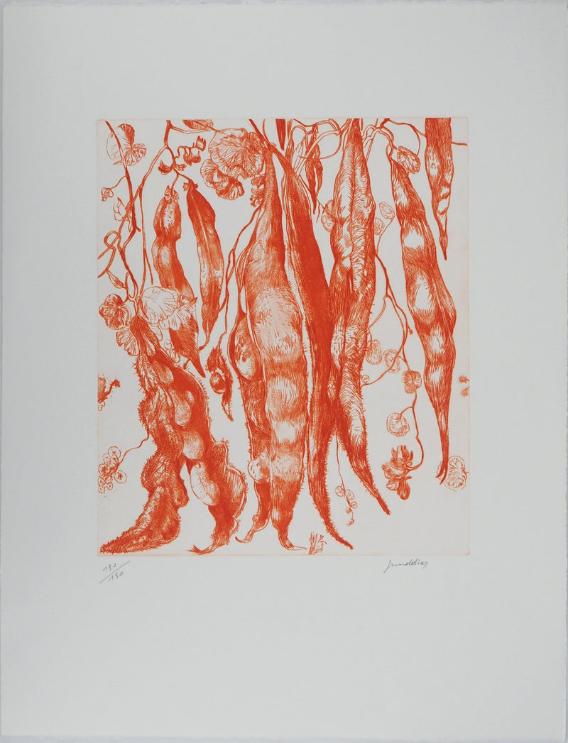 Gérard DIAZ : Floraison ardente, Gravure originale (vue générale) - Crédit photo : Galerie Art.Paris