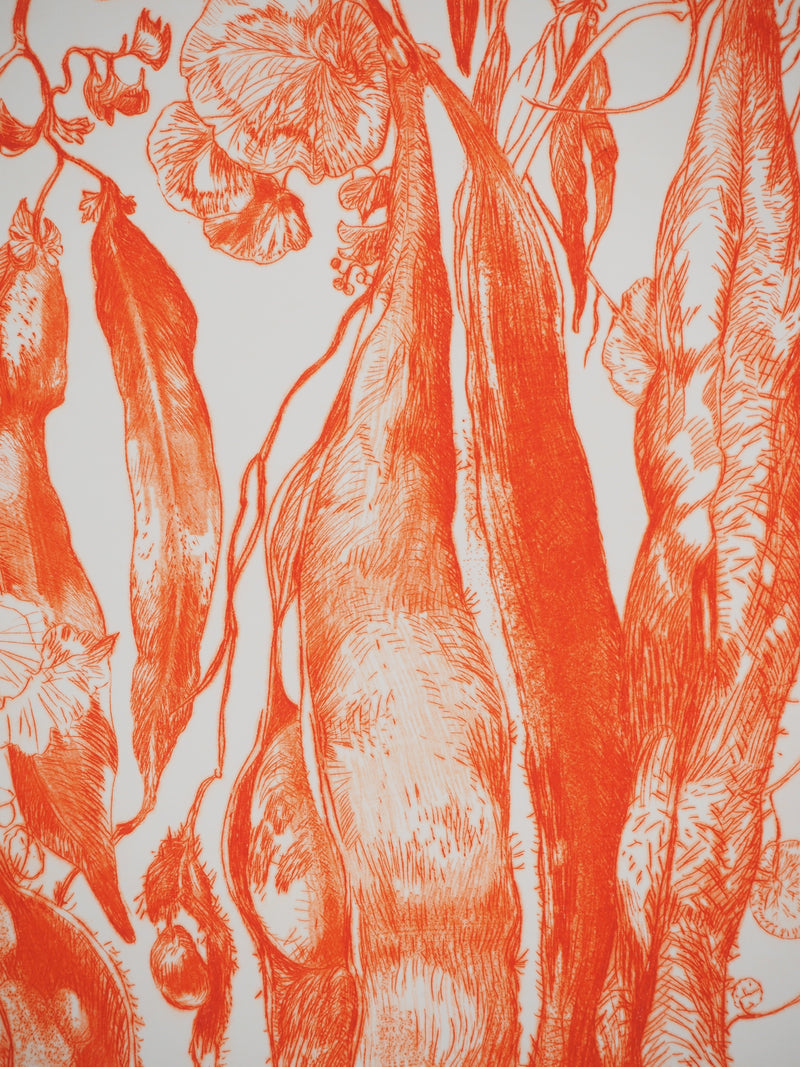 Gérard DIAZ : Floraison ardente, Gravure originale (photo de détail 5) - Crédit photo : Galerie Art.Paris