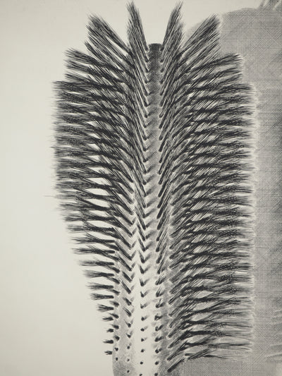 Jacques MURON : Discipline, Gravure originale (photo de détail 4) - Crédit photo : Galerie Art.Paris