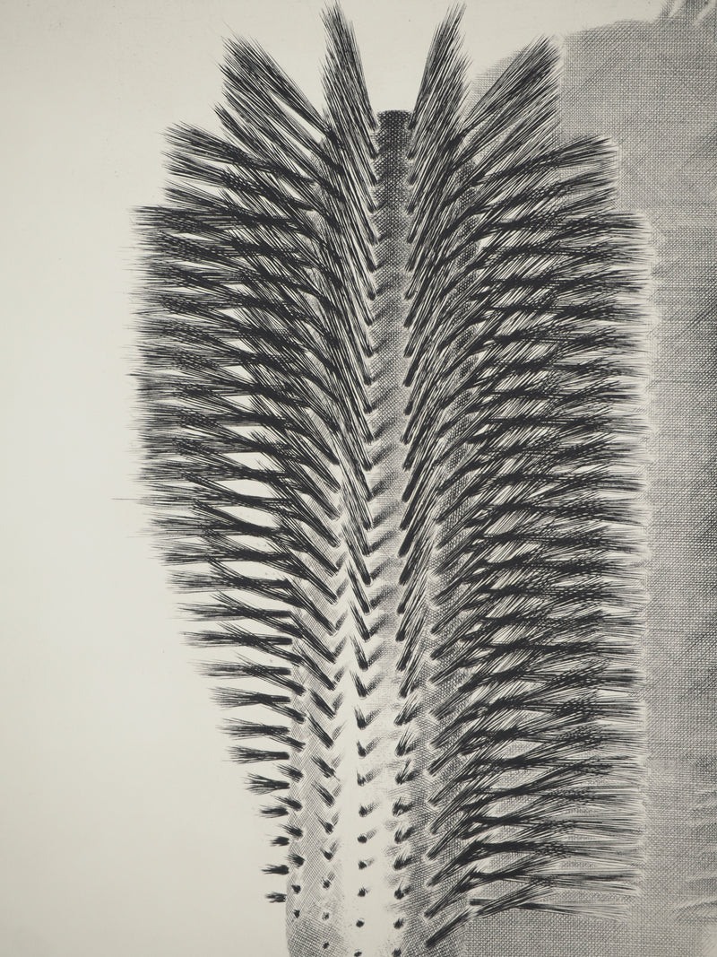 Jacques MURON : Discipline, Gravure originale (photo de détail 4) - Crédit photo : Galerie Art.Paris