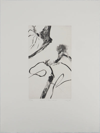 Nathalie GRALL : Equation à deux inconnus, Gravure originale (vue générale) - Crédit photo : Galerie Art.Paris