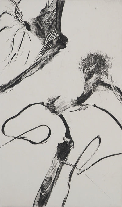 Nathalie GRALL : Equation à deux inconnus, Gravure originale (photo de détail 2) - Crédit photo : Galerie Art.Paris