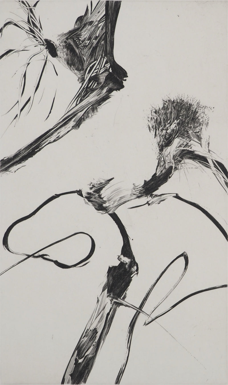 Nathalie GRALL : Equation à deux inconnus, Gravure originale (photo de détail 2) - Crédit photo : Galerie Art.Paris