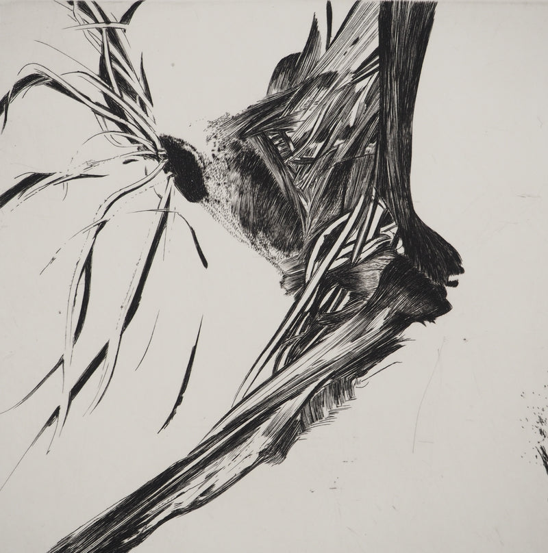 Nathalie GRALL : Equation à deux inconnus, Gravure originale (photo de détail 4) - Crédit photo : Galerie Art.Paris