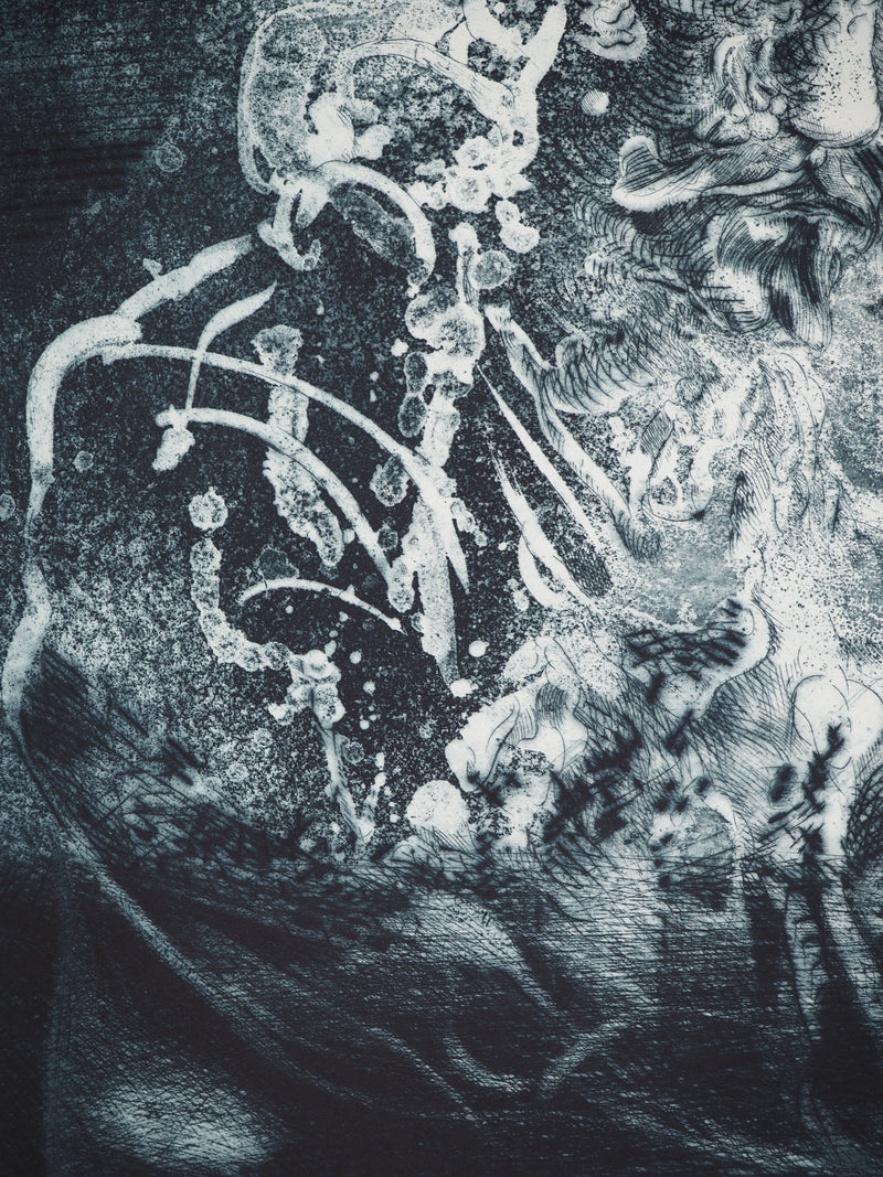 Yves MILET : Don Quichotte, Gravure originale (photo de détail 5) - Crédit photo : Galerie Art.Paris