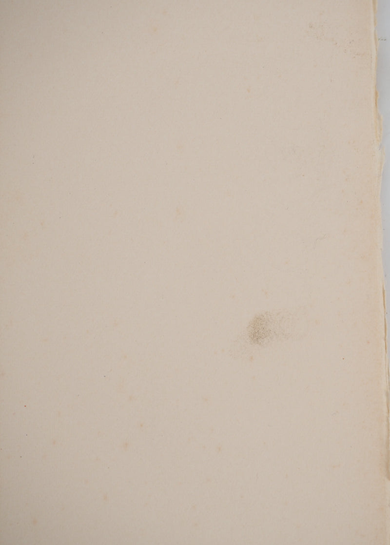 Henri DE TOULOUSE-LAUTREC : Marcelle, Lithographie originale (photo de détail 8) - Crédit photo : Galerie Art.Paris