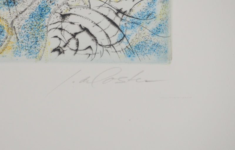 Germaine DE COSTER : Les coquillages, Gravure originale (photo de détail 6) - Crédit photo : Galerie Art.Paris