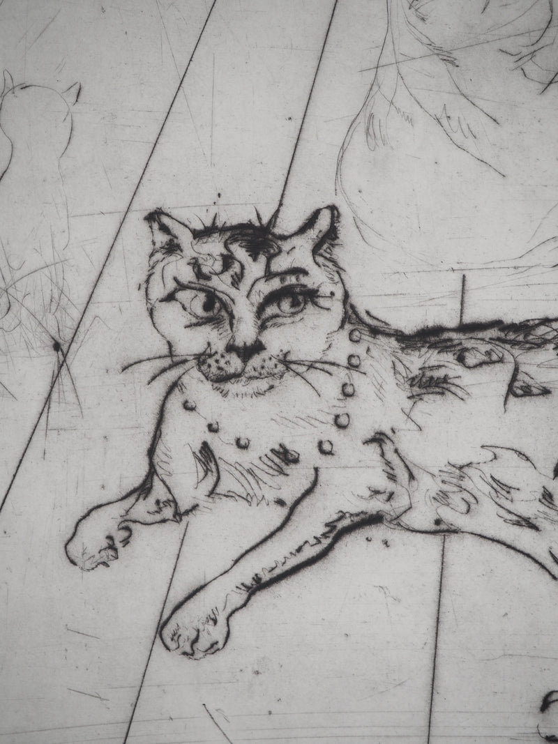Mordecaï MOREH : Les chats , Gravure originale (photo de détail 4) - Crédit photo : Galerie Art.Paris