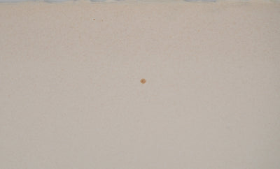Adolphe CIESLARCZYK : L'éternel naufrage, Gravure originale (photo de détail 7) - Crédit photo : Galerie Art.Paris