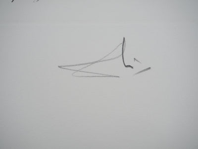 Salvador DALI : La saignée et le temps qui passe, Gravure originale (photo de détail 4) - Crédit photo : Galerie Art.Paris