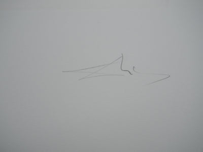 Salvador DALI : Le chant de l'oisea, Gravure originale (photo de détail 3) - Crédit photo : Galerie Art.Paris