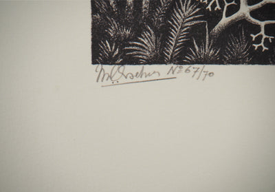 ESCHER M.C. : Cascade, oeuvre originale (photo de détail 3) - Crédit photo : Galerie Art.Paris