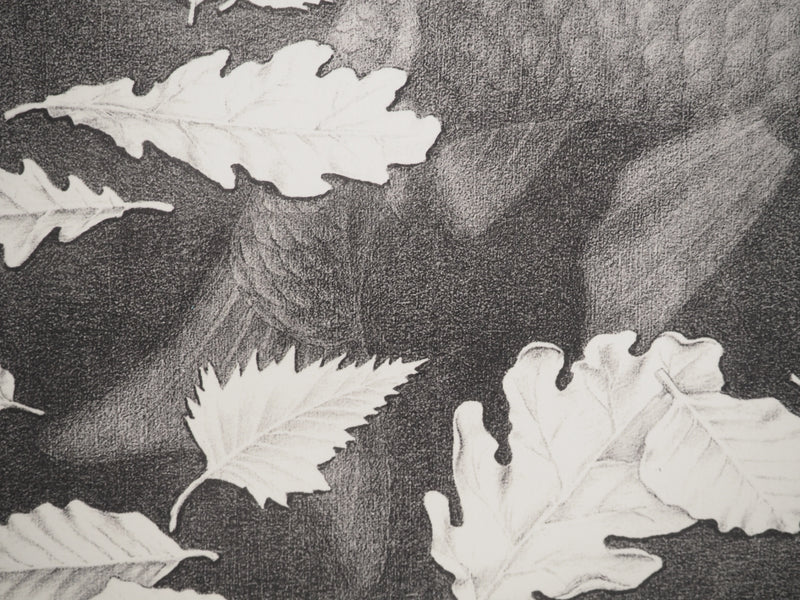 ESCHER M.C. : Automne et carpe, oeuvre originale (photo de détail 10) - Crédit photo : Galerie Art.Paris