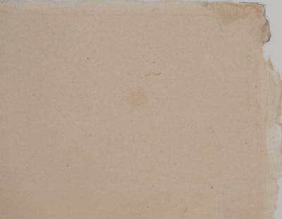Colette PETTIER : Vénus fécondant la Terre, Lithographie originale (photo de détail 8) - Crédit photo : Galerie Art.Paris