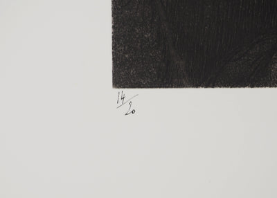 Michel CIRY : Moment de tendresse, Gravure originale (photo de détail 5) - Crédit photo : Galerie Art.Paris