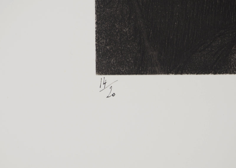 Michel CIRY : Moment de tendresse, Gravure originale (photo de détail 5) - Crédit photo : Galerie Art.Paris
