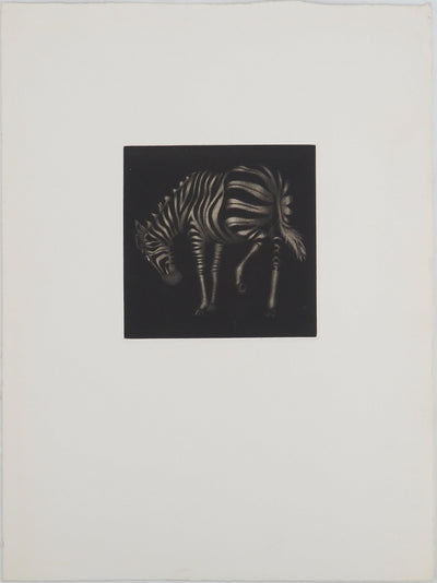 Mario AVATI : Zèbre, Gravure originale (vue générale) - Crédit photo : Galerie Art.Paris