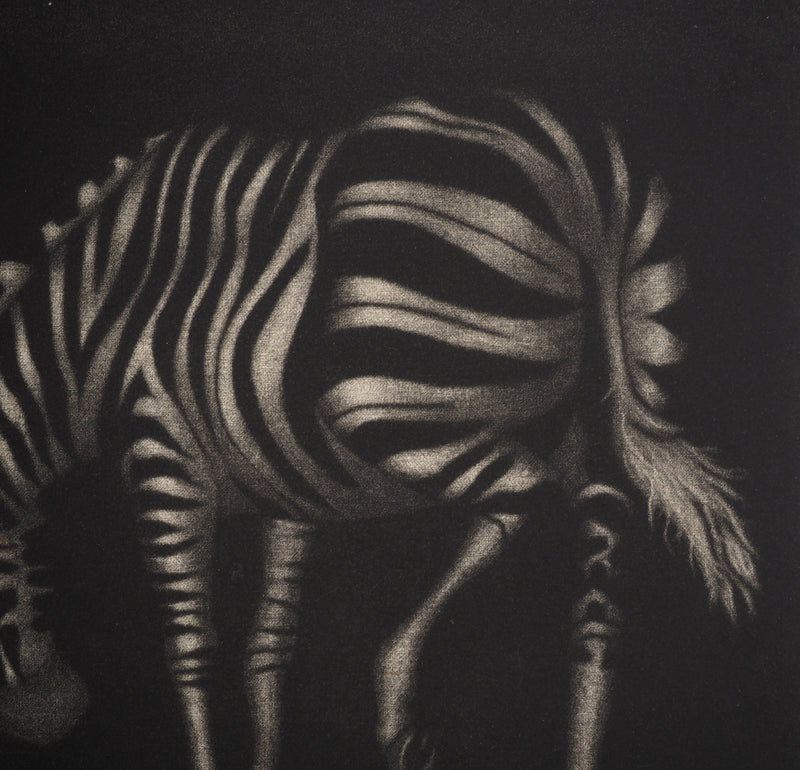 Mario AVATI : Zèbre, Gravure originale (photo de détail 3) - Crédit photo : Galerie Art.Paris