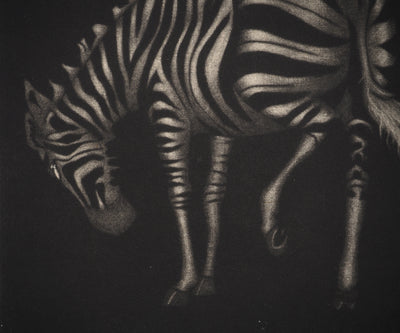 Mario AVATI : Zèbre, Gravure originale (photo de détail 4) - Crédit photo : Galerie Art.Paris