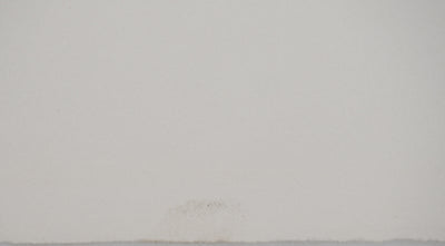 Mario AVATI : Zèbre, Gravure originale (photo de détail 5) - Crédit photo : Galerie Art.Paris