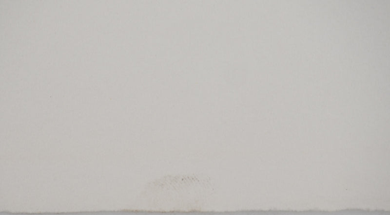 Mario AVATI : Zèbre, Gravure originale (photo de détail 5) - Crédit photo : Galerie Art.Paris
