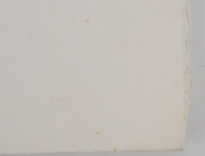 Mario AVATI : Zèbre, Gravure originale (photo de détail 6) - Crédit photo : Galerie Art.Paris