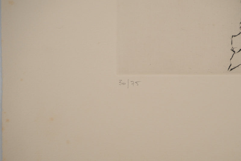 Yannick BALLIF : Le cocotier, Gravure originale (photo de détail 6) - Crédit photo : Galerie Art.Paris
