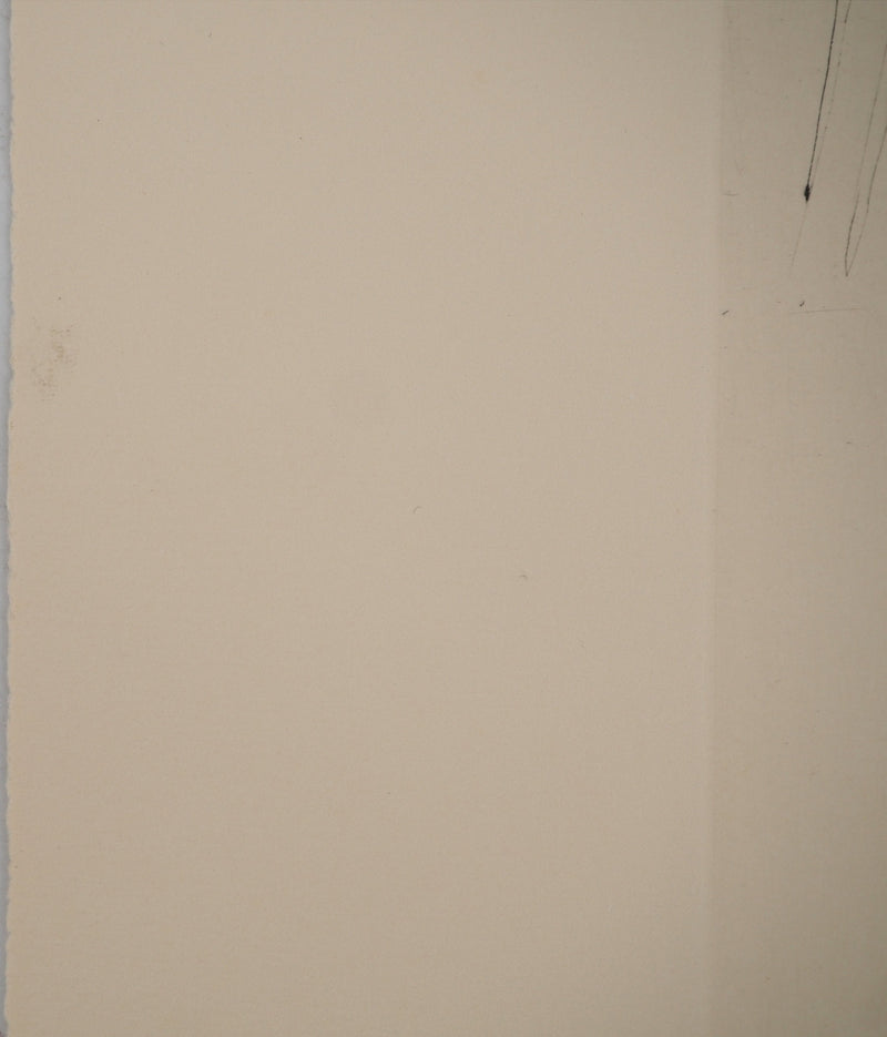Yannick BALLIF : Le cocotier, Gravure originale (photo de détail 8) - Crédit photo : Galerie Art.Paris