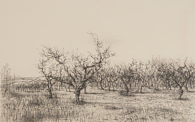 Jean CARZOU : Oliviers en Provence, Lithographie originale (photo de détail 3) - Crédit photo : Galerie Art.Paris