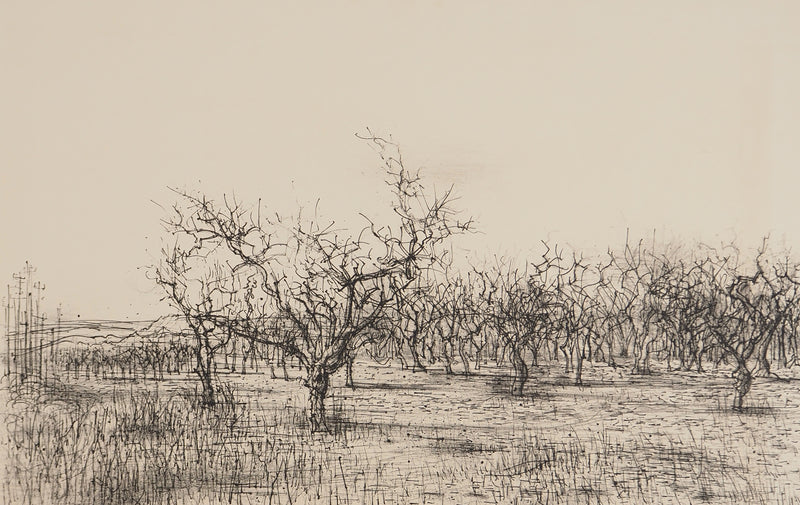 Jean CARZOU : Oliviers en Provence, Lithographie originale (photo de détail 3) - Crédit photo : Galerie Art.Paris