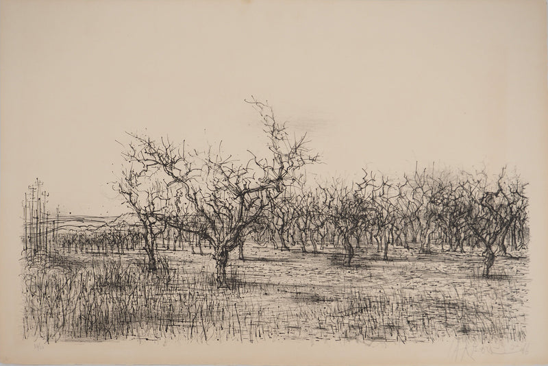 Jean CARZOU : Oliviers en Provence, Lithographie originale (vue générale) - Crédit photo : Galerie Art.Paris