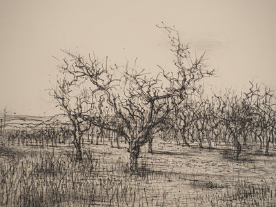 Jean CARZOU : Oliviers en Provence, Lithographie originale (photo de détail 4) - Crédit photo : Galerie Art.Paris