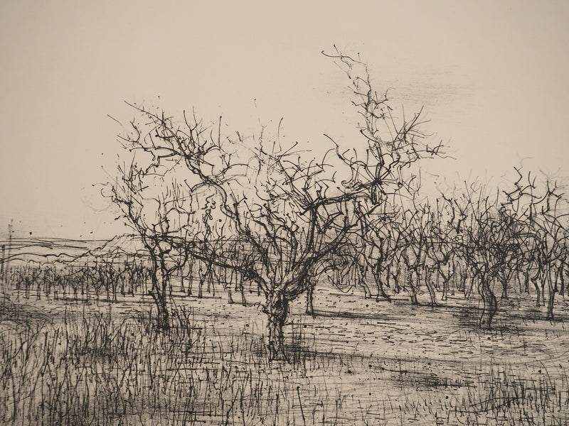 Jean CARZOU : Oliviers en Provence, Lithographie originale (photo de détail 4) - Crédit photo : Galerie Art.Paris