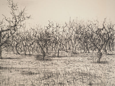 Jean CARZOU : Oliviers en Provence, Lithographie originale (photo de détail 5) - Crédit photo : Galerie Art.Paris