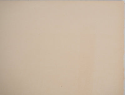 Jean CARZOU : Oliviers en Provence, Lithographie originale (photo de détail 8) - Crédit photo : Galerie Art.Paris