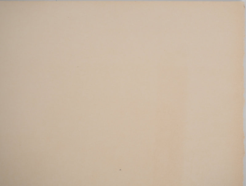 Jean CARZOU : Oliviers en Provence, Lithographie originale (photo de détail 8) - Crédit photo : Galerie Art.Paris