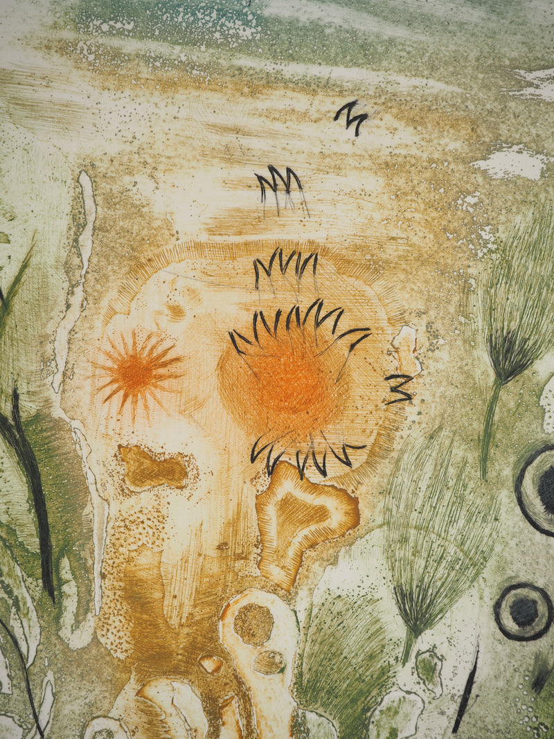 Colette PETTIER : Végétation solaire, Gravure originale (photo de détail 4) - Crédit photo : Galerie Art.Paris