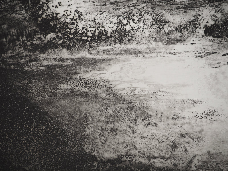 Luc GERBIER : Rivage, Gravure originale (photo de détail 4) - Crédit photo : Galerie Art.Paris