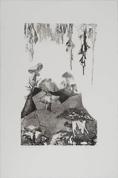 Madeleine MELSONN : Les champignons, Gravure originale (vue générale) - Crédit photo : Galerie Art.Paris