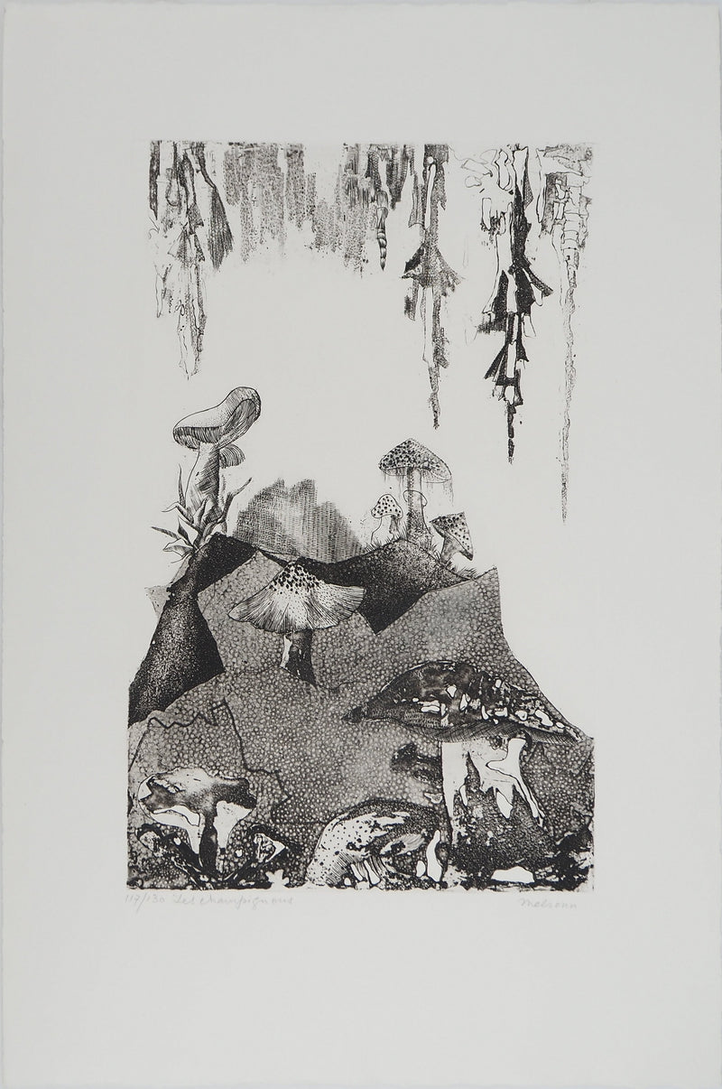 Madeleine MELSONN : Les champignons, Gravure originale (vue générale) - Crédit photo : Galerie Art.Paris