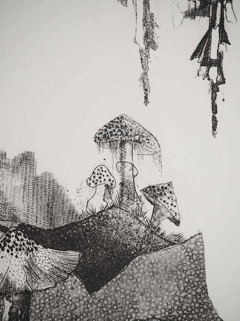 Madeleine MELSONN : Les champignons, Gravure originale (photo de détail 4) - Crédit photo : Galerie Art.Paris