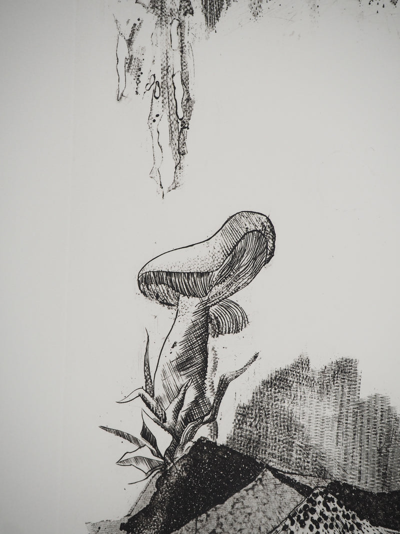 Madeleine MELSONN : Les champignons, Gravure originale (photo de détail 5) - Crédit photo : Galerie Art.Paris
