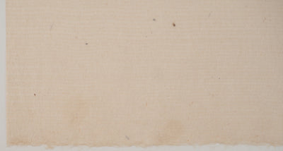 Pierre-Eugène CLAIRIN : Coreopsis et montbretia, Lithographie originale (photo de détail 6) - Crédit photo : Galerie Art.Paris