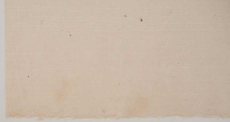 Pierre-Eugène CLAIRIN : Coreopsis et montbretia, Lithographie originale (photo de détail 6) - Crédit photo : Galerie Art.Paris