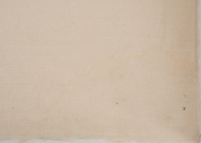 Pierre-Eugène CLAIRIN : Coreopsis et montbretia, Lithographie originale (photo de détail 7) - Crédit photo : Galerie Art.Paris