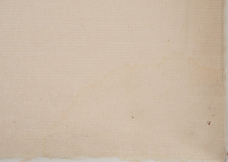 Pierre-Eugène CLAIRIN : Coreopsis et montbretia, Lithographie originale (photo de détail 7) - Crédit photo : Galerie Art.Paris