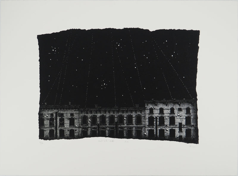 Nicolas POIGNON : Ciel étoilé, Lithographie originale (vue générale) - Crédit photo : Galerie Art.Paris