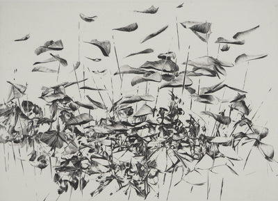 Nathalie GRALL : L'envolée de l'embellie, Gravure originale (photo de détail 3) - Crédit photo : Galerie Art.Paris