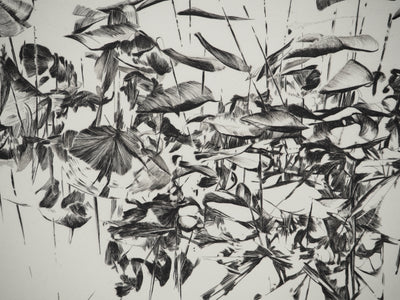 Nathalie GRALL : L'envolée de l'embellie, Gravure originale (photo de détail 4) - Crédit photo : Galerie Art.Paris