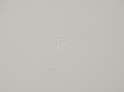 José HERNANDEZ : Mante religieuse, Gravure originale (photo de détail 7) - Crédit photo : Galerie Art.Paris